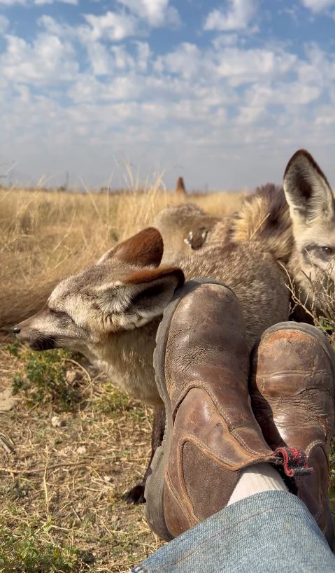 Redback Boots Around The World